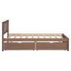 Modern Design Twin Size Platform Bed with 2 Drawers for Walnut Color