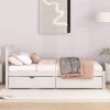 Modern Design Wooden Twin Size Platform Bed with 2 Drawers for White Washed Color