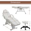Massage Salon Tattoo Chair with Two Trays Esthetician Bed with Hydraulic Stool,Multi-Purpose 3-Section Facial Bed Table, Adjustable Beauty Barber Spa