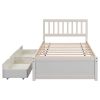 Modern Design Wooden Twin Size Platform Bed with 2 Drawers for White Washed Color